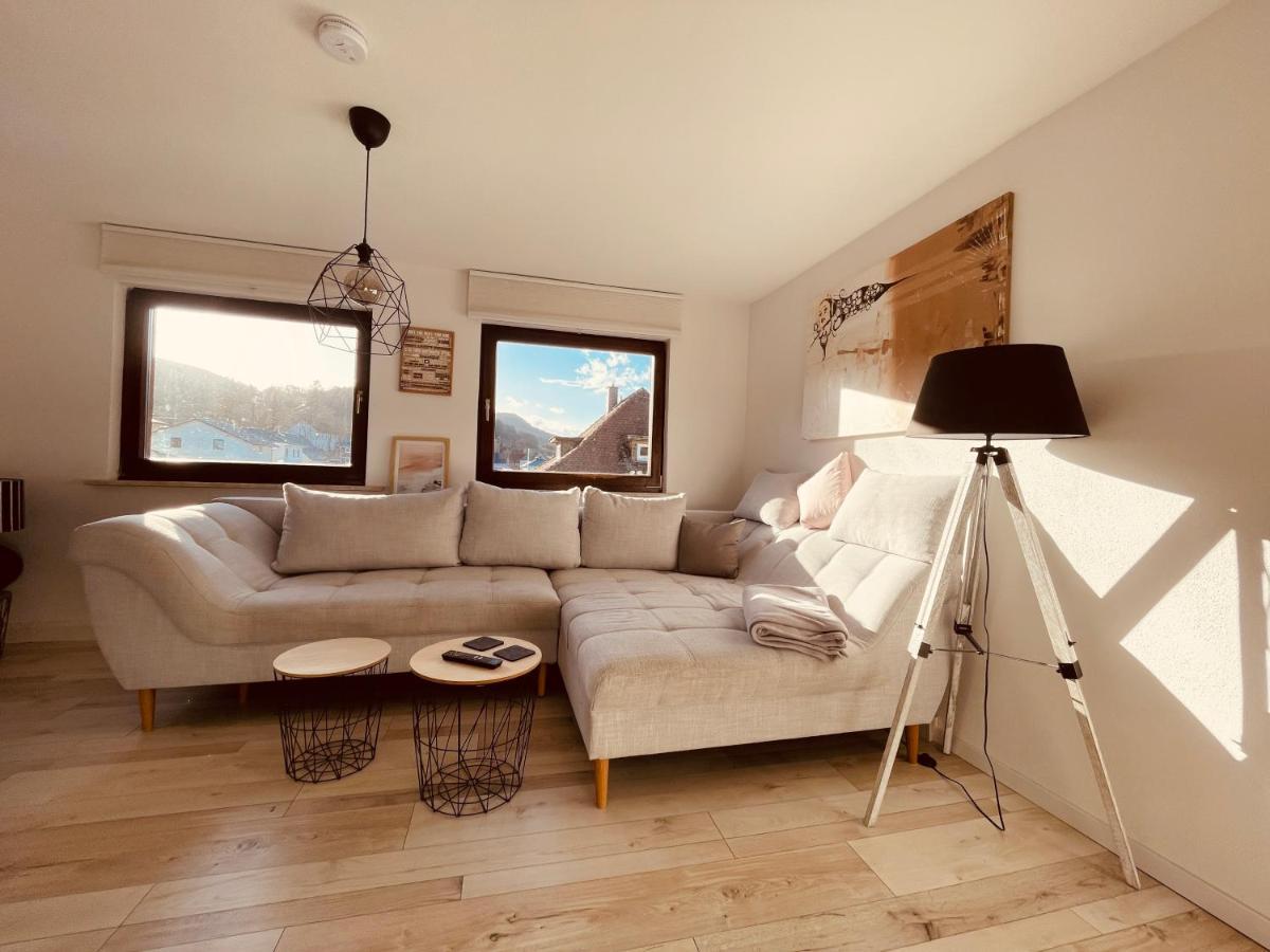 Ar Apartments I 4 Pers I Prime I Kueche I Wlan I Office Rudolstadt Eksteriør billede